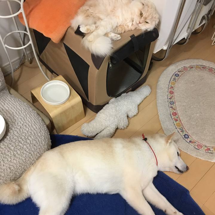 Fdb3456b 1903 4fd0 9a93 ad48d9ee1fc7