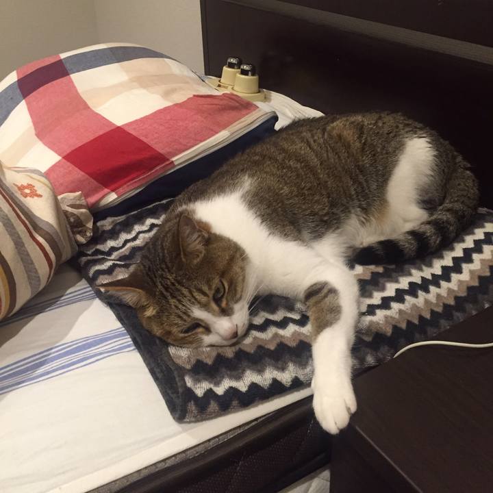 Fdb3aa45 8c5b 43ac 8e29 870a47ee9140