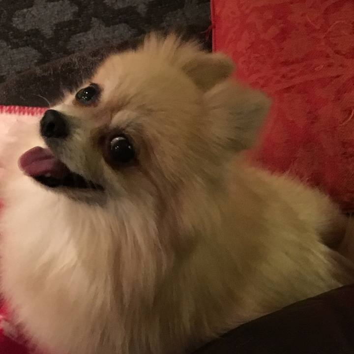 Fdb3fe63 2a8a 4baa a11f 6c91c12c7d71