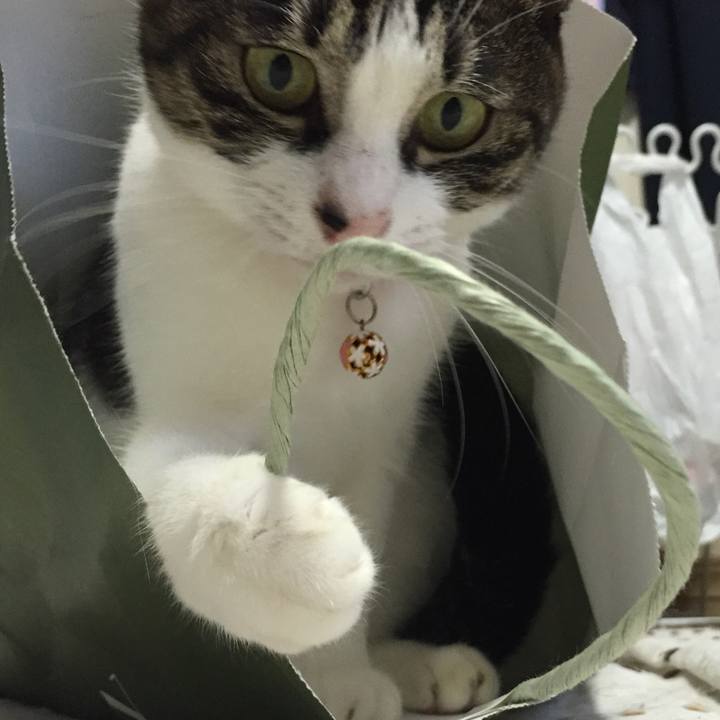 Fdb4ead9 dfbd 41bf b835 ed0246371ad5