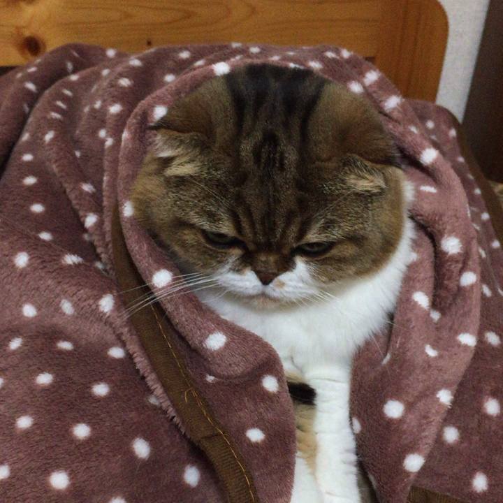 Fdb5b8e1 1b4f 41f2 a3c7 bfd41c4ad08c