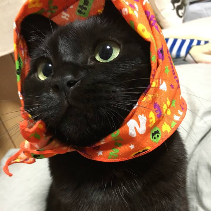 Fdb5d79b 1ce6 4fb6 9edc c995ac9cecd4