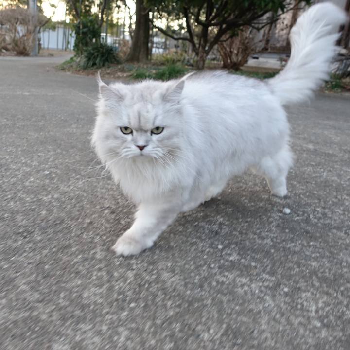 Fdb6214d 314b 4cc3 801b 34af5382bbe3