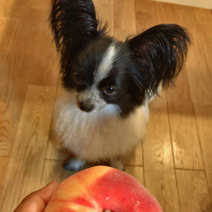 Fdb6e494 b733 4c2f 9fc9 48e0a1c00d10