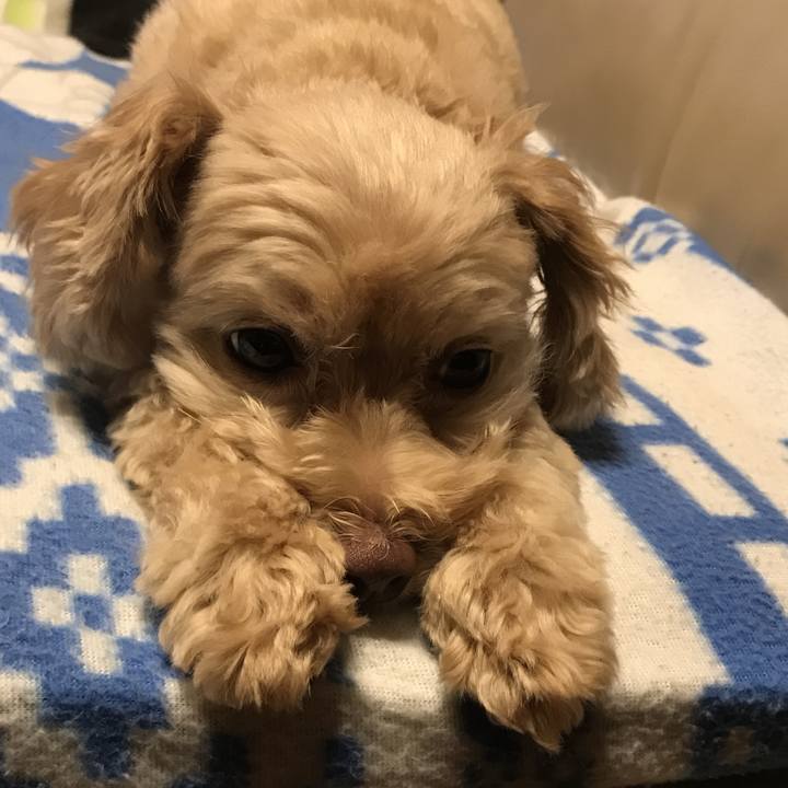 Fdb73ee2 1b5e 4cd5 9641 8c7b88d77d8c