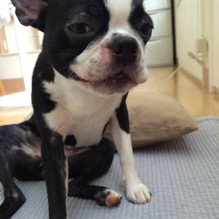 Fdb78763 ca63 440c a58c 226a044f7ac5