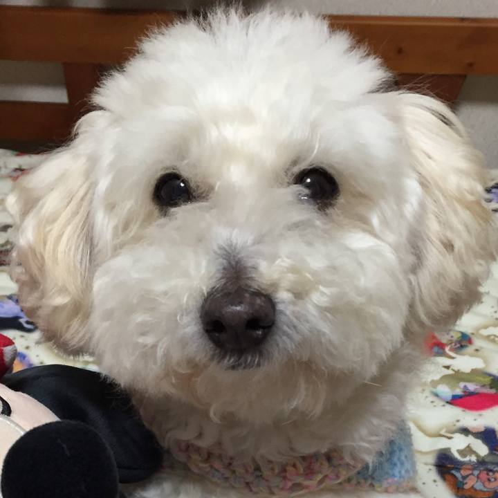 Fdb79c6b 4902 4523 8d4f 406e61fed10b