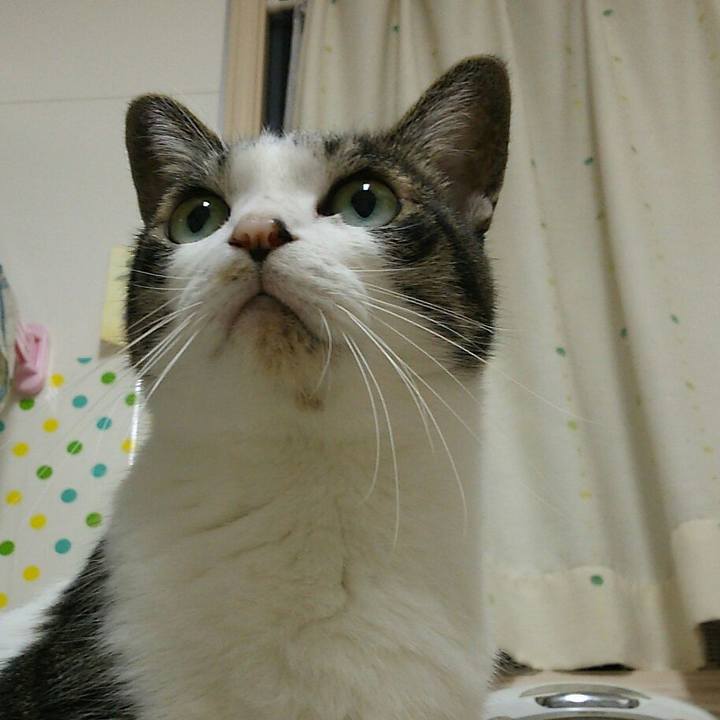 Fdb7e047 ab82 47c6 927e db6723db4b8e