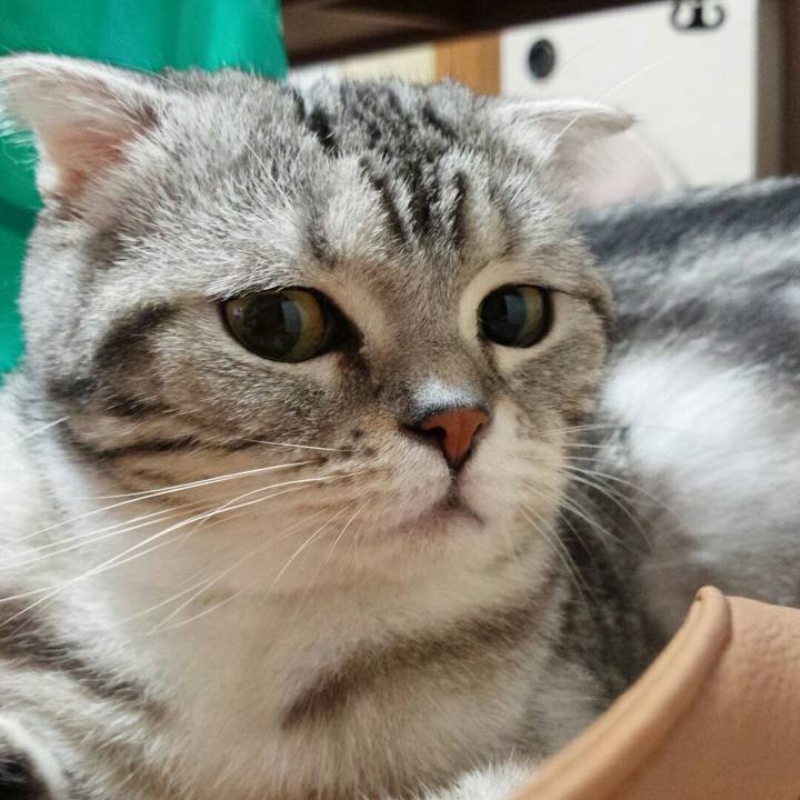 Fdb88734 b43d 4da4 acde abf0a85389e2