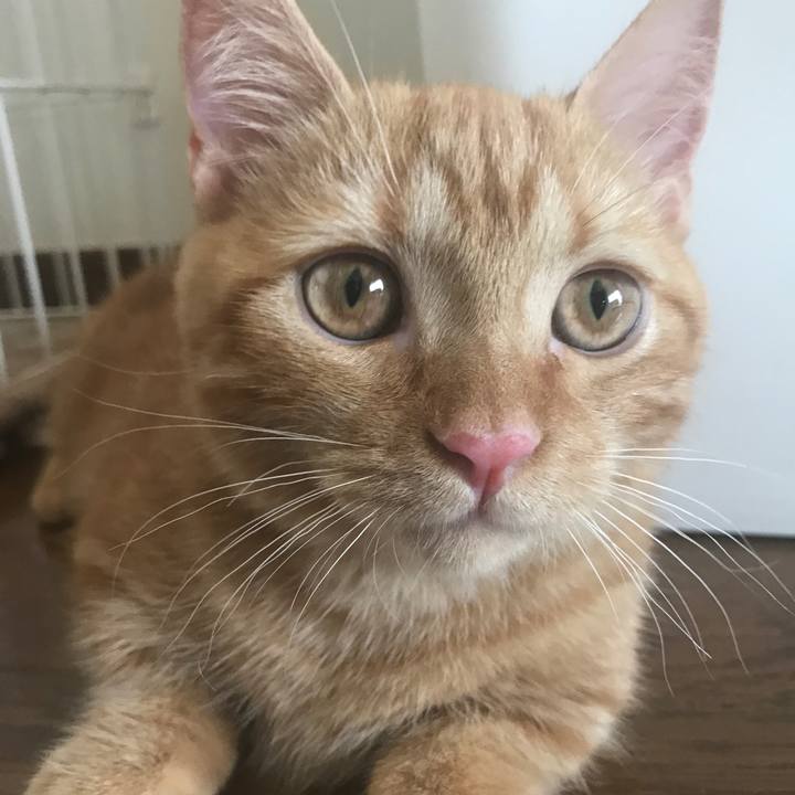 Fdb8a8df 3202 4a77 9252 c0c74bdf35d3