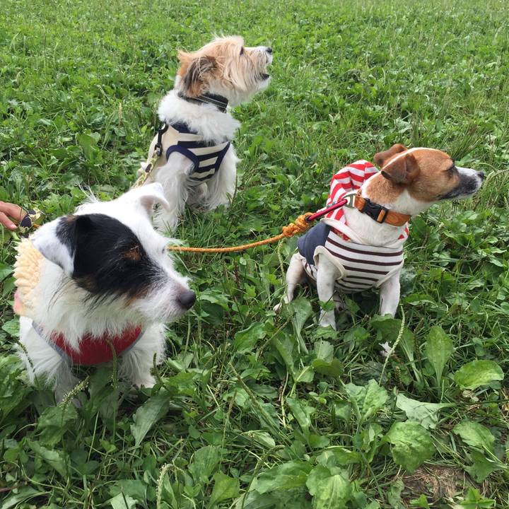 Fdb9001c 79f3 4ee0 a305 2e50e00464db