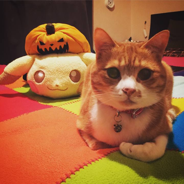 Fdb918a2 739d 46fe a052 7db26226b0fb