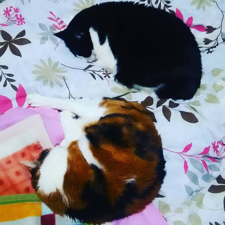 Fdba5dfc 7178 4cdf 9cb3 620fd862dd79