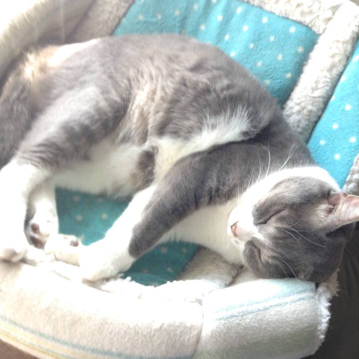 Fdbb78e7 2326 4243 9e60 3113a868f1be