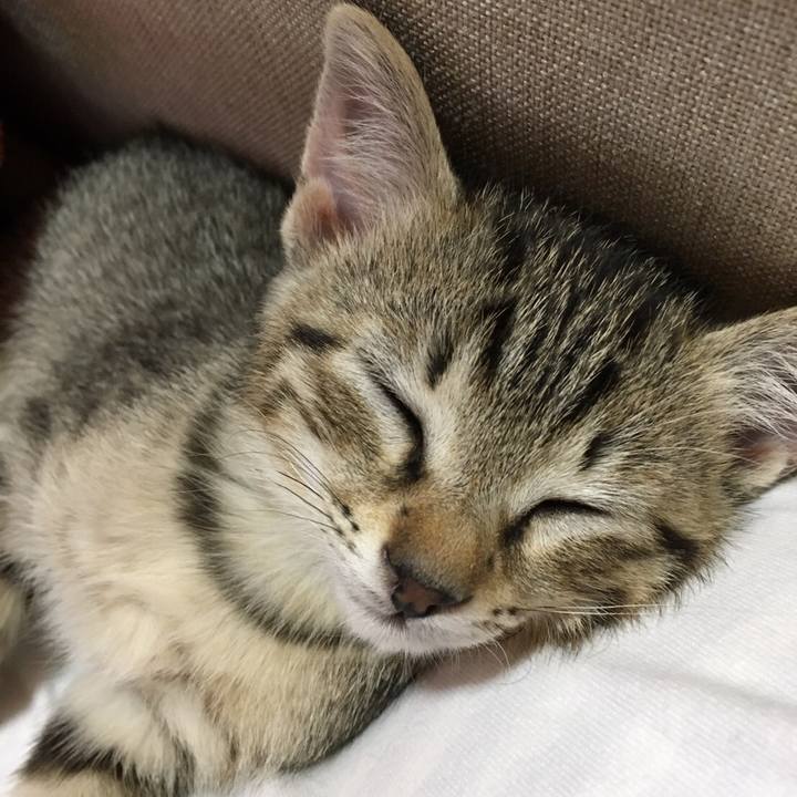 Fdbbbd93 b951 4e55 babc d0960832cbfb