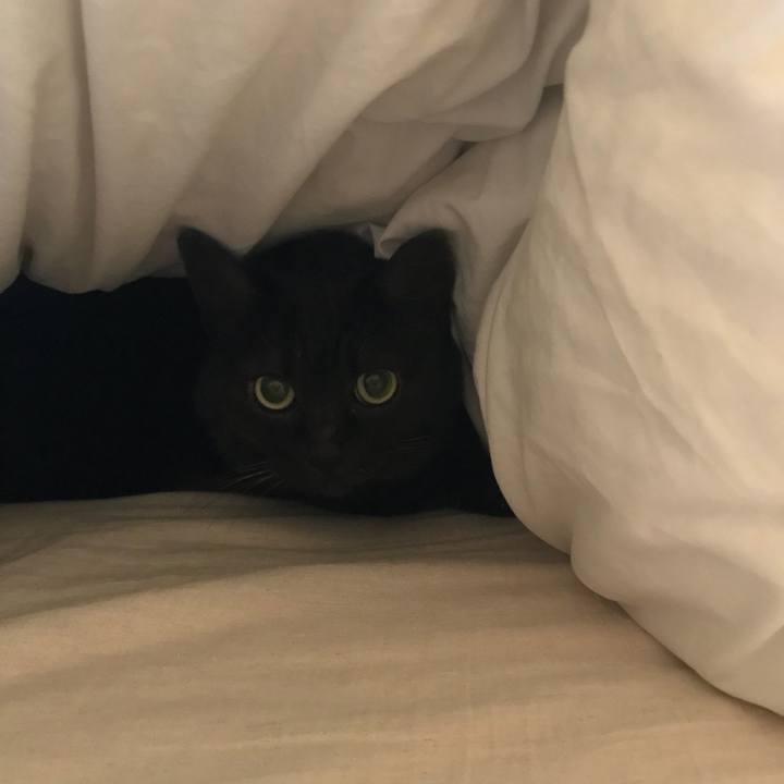 Fdbbda9e a008 4e17 8cc3 9c30e4092df8