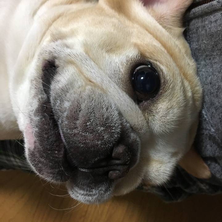 Fdbc1cea a6e4 43bd ad0b 89151cf1b15e