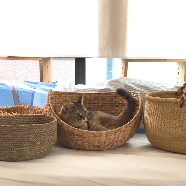 Fdbcb4d4 a498 4bb5 a3dc ba60e825c0df