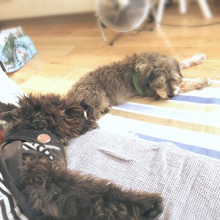 Fdbcffbd a01d 46c9 9b94 13d3ace8fd16