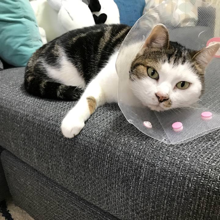 Fdbd3b52 5d28 4182 bb32 9643e187c875