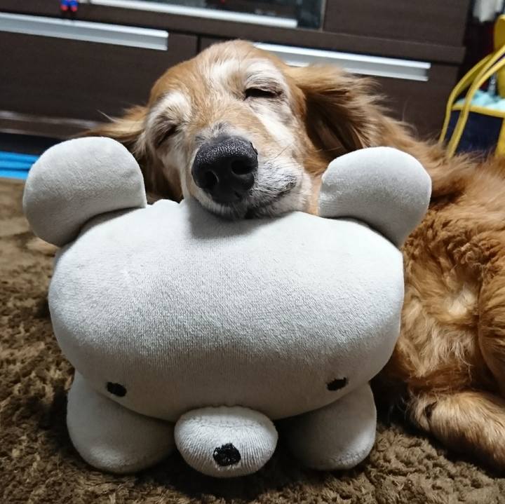 Fdbdc0b5 edbe 43f9 aaa5 356610f0f978