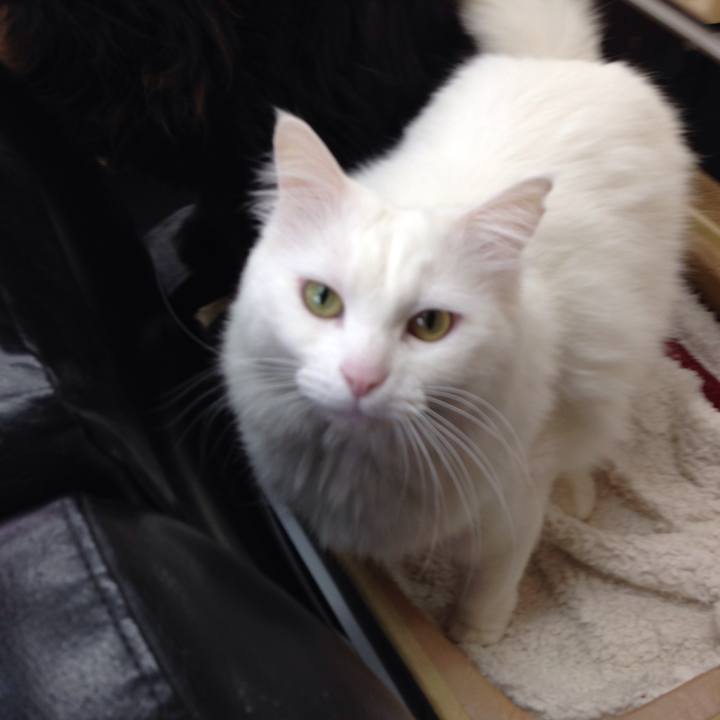 Fdbe1b81 44b6 45b8 a1a0 292625451937