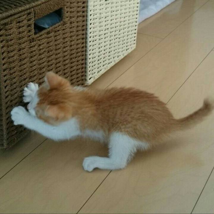 Fdbe7fd3 45fe 4cac 90c9 13326e34dec0