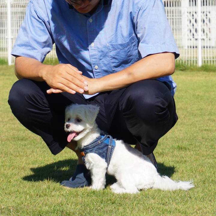 Fdbf9856 511a 4684 8dbb 53f1c9f5846d