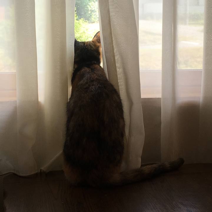 Fdc02b69 caf1 42ef 8c31 c522e1b8b2b3