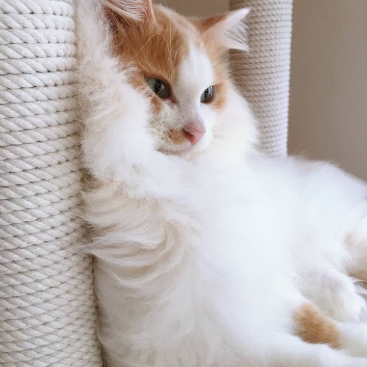 Fdc0786a d95e 433f 8c8e 4b57a1967b34