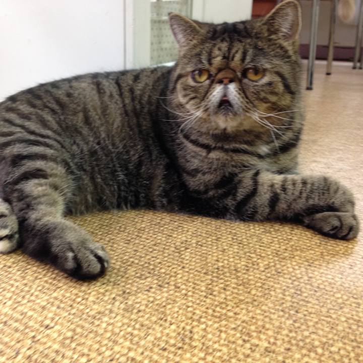 Fdc0dc88 ae77 47c3 9a48 33676c934fc0