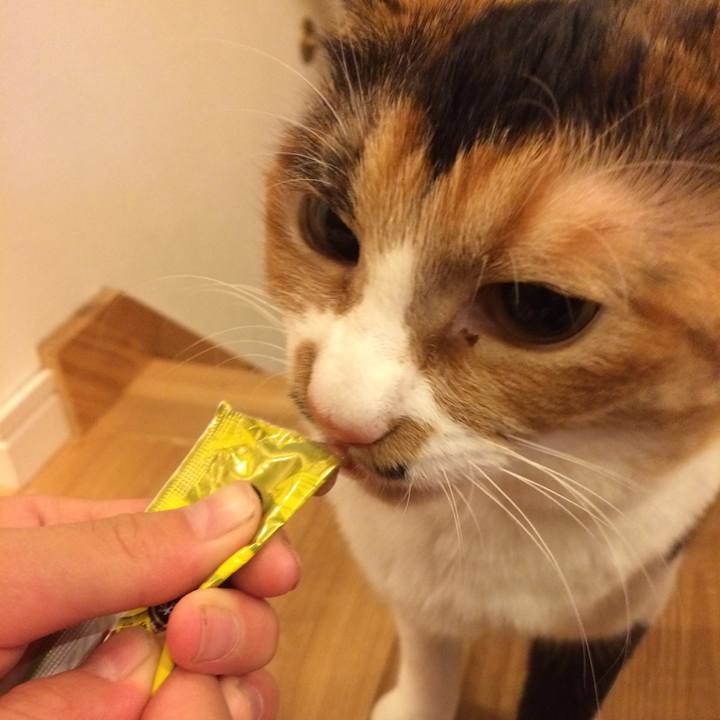 Fdc134d8 505c 4aaa 8d0b 573119f35130