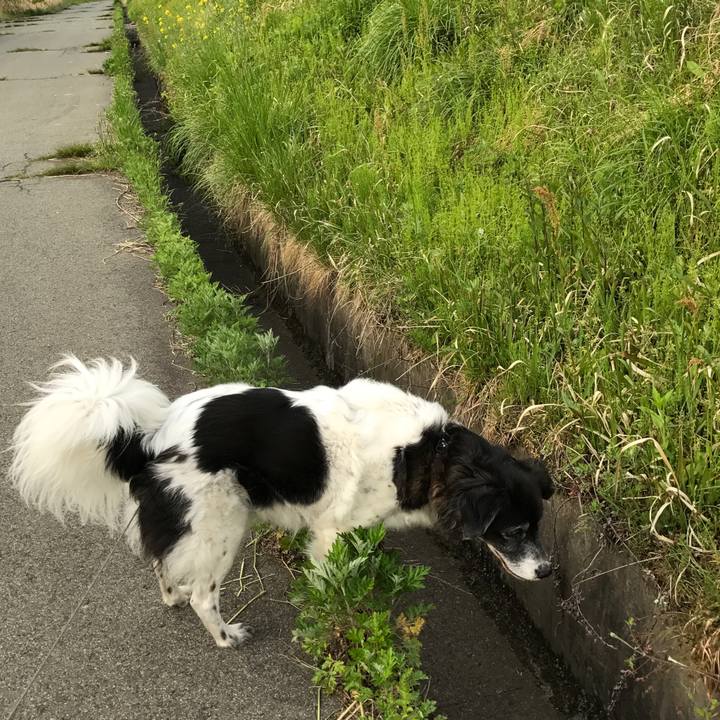 Fdc17fc3 993e 4dd9 abd0 69cabaa42271