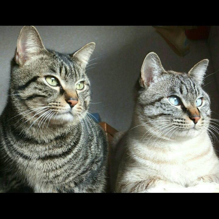 Fdc1e941 e1fe 40b8 96a1 3472e6642b00