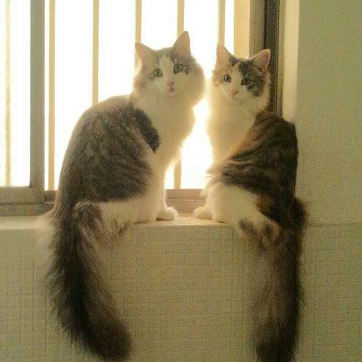 Fdc2ed59 cb32 4821 831d 476dbc05f426