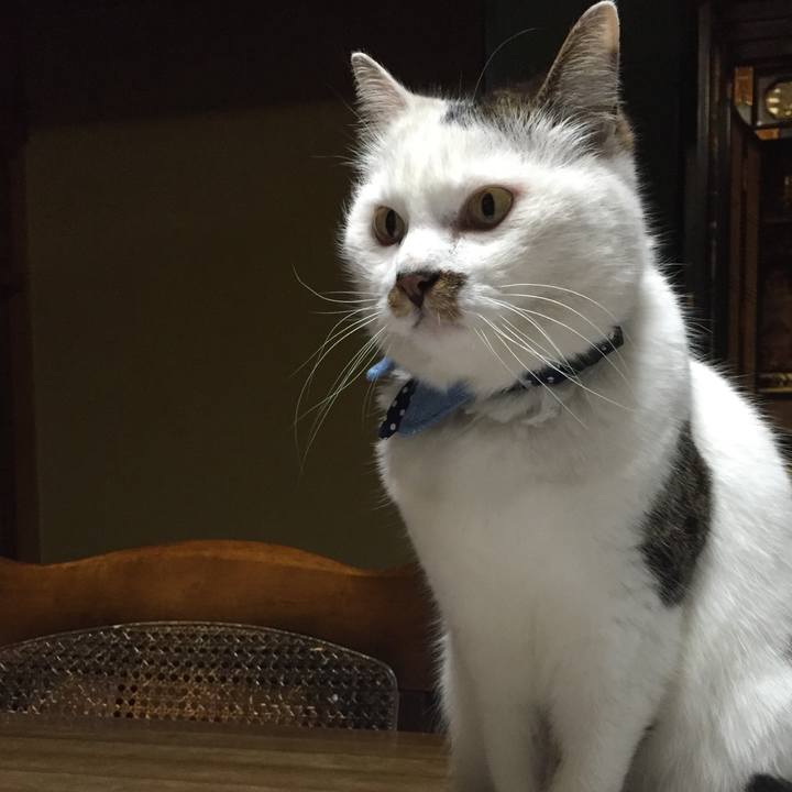 Fdc2ed6b 9e70 4898 8ac9 c45de380fd56