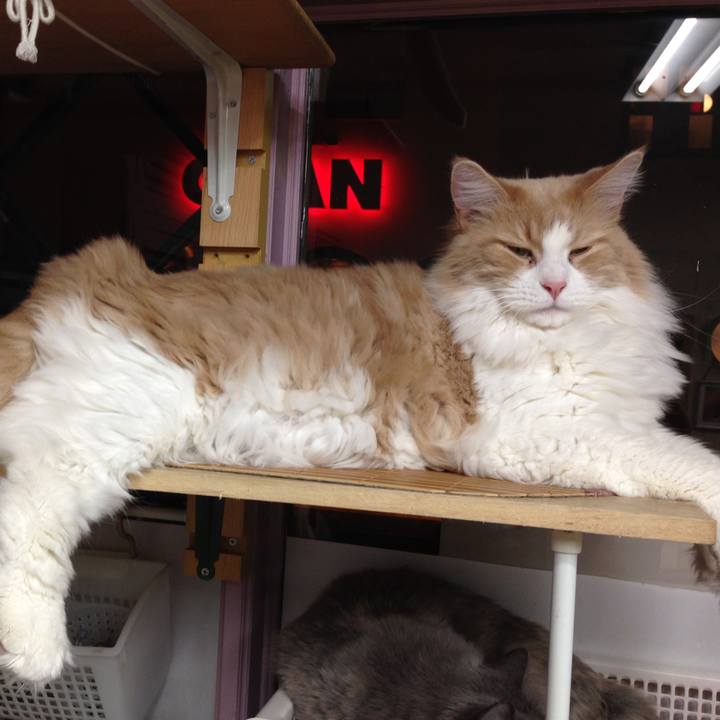 Fdc31917 8f4d 4f24 a795 8b54ceedb447