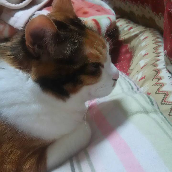 Fdc4844c e04a 40d8 9c8c e2444ee81347