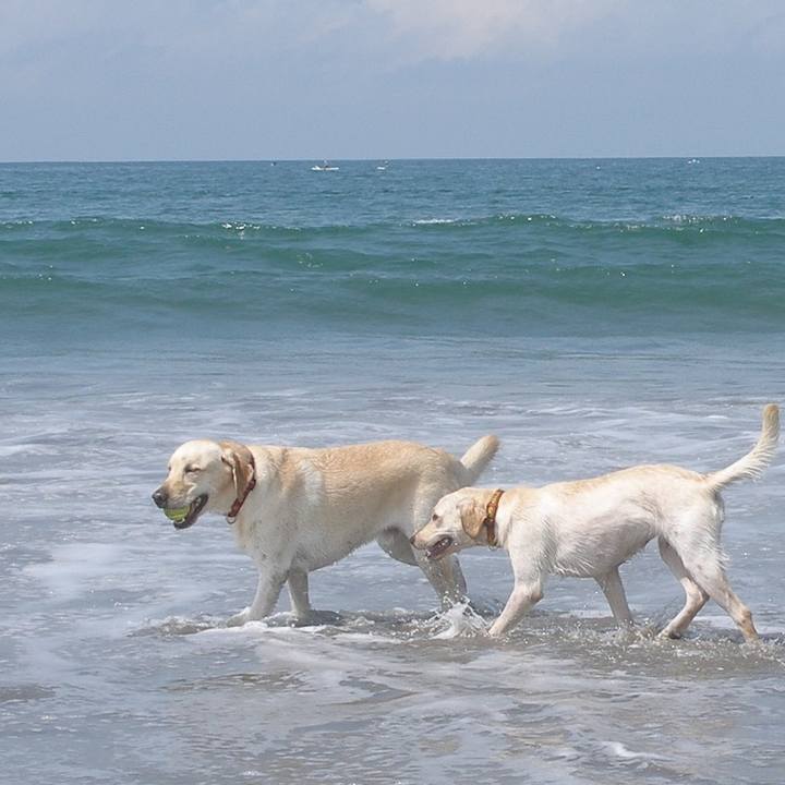 Fdc4c87c 42c6 4b0f bdc4 eae574cd8bab