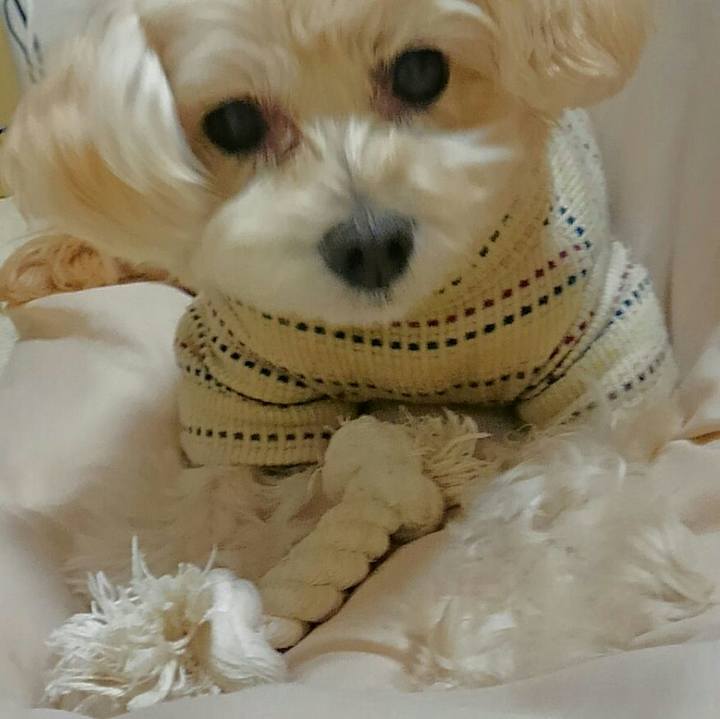 Fdc530e0 6c83 42a7 85a6 fe5ba3bc3472