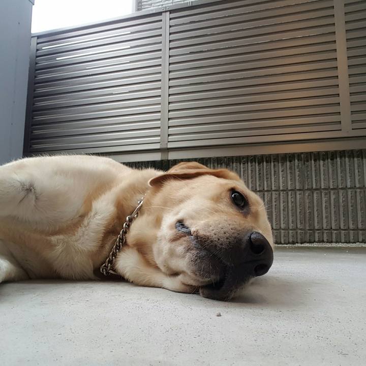 Fdc550a1 5f08 45c9 a1f5 c6c4b335054a