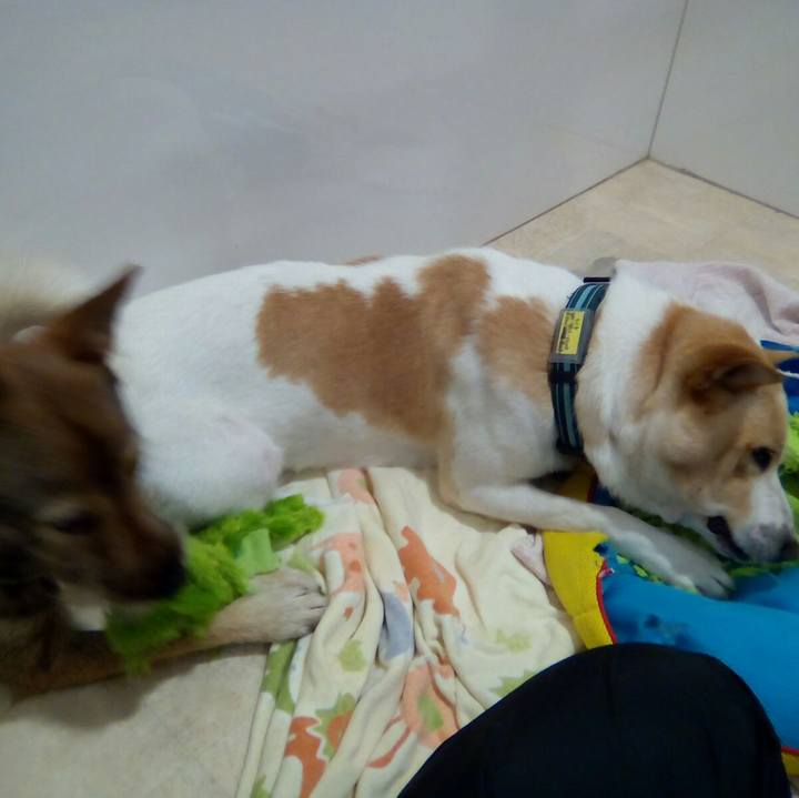 Fdc5785f 6e70 48f3 a288 58001c3e1412