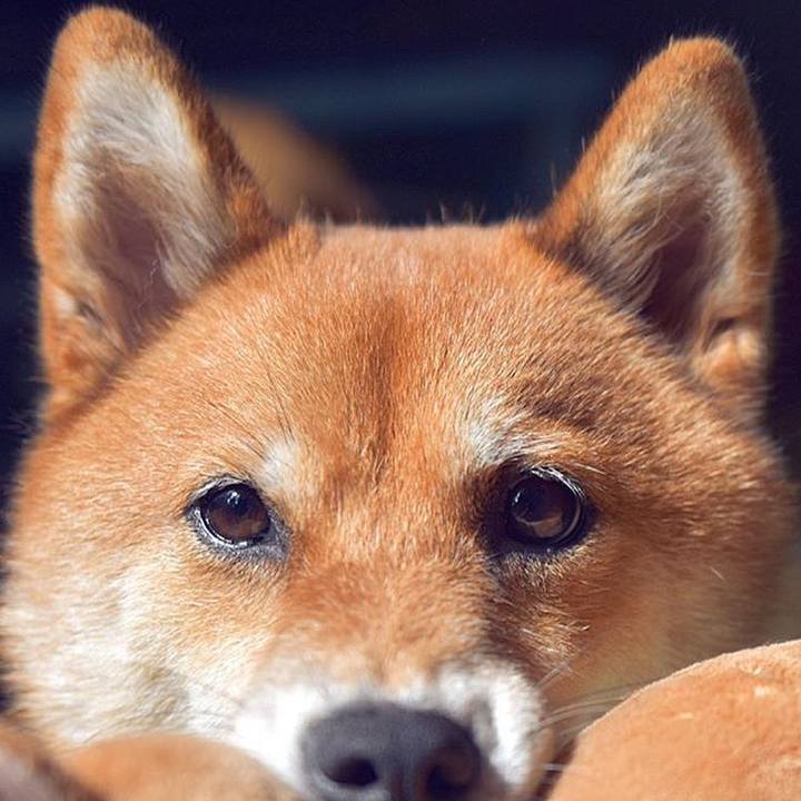 Fdc60e40 d120 41c9 a425 d16cf231705f