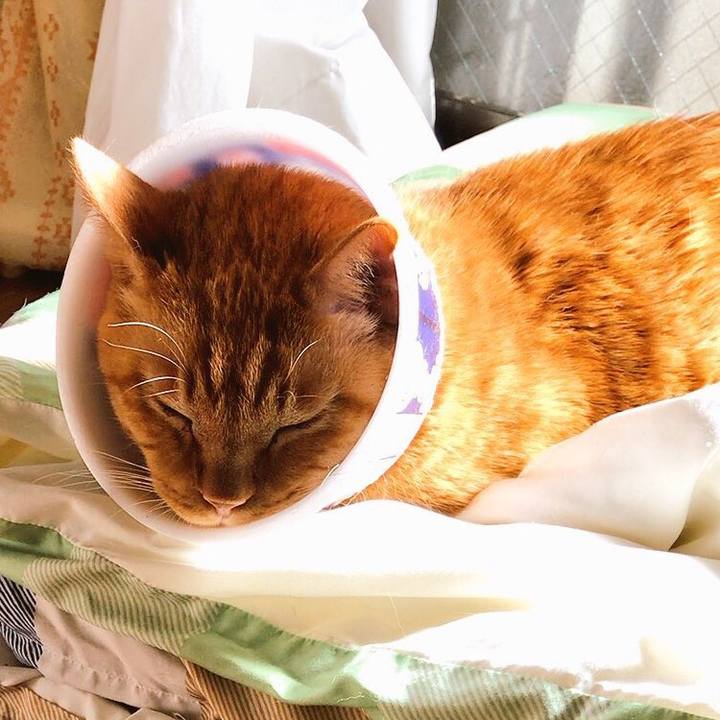 Fdc654e0 8d10 4acb 8723 db0fe9367927