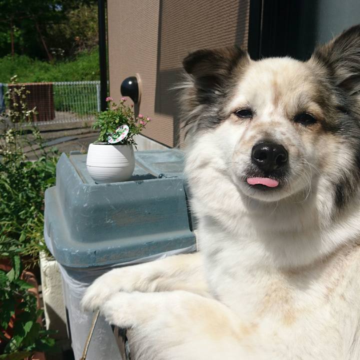 Fdc67646 4741 4078 b1fe 1f63df82bde4