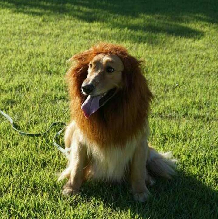 Fdc8d074 dd96 4f35 90e2 d064d70cacf7