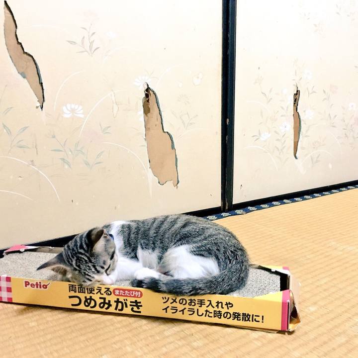 Fdc8d569 0726 429a 910d 1ac6c212df4a