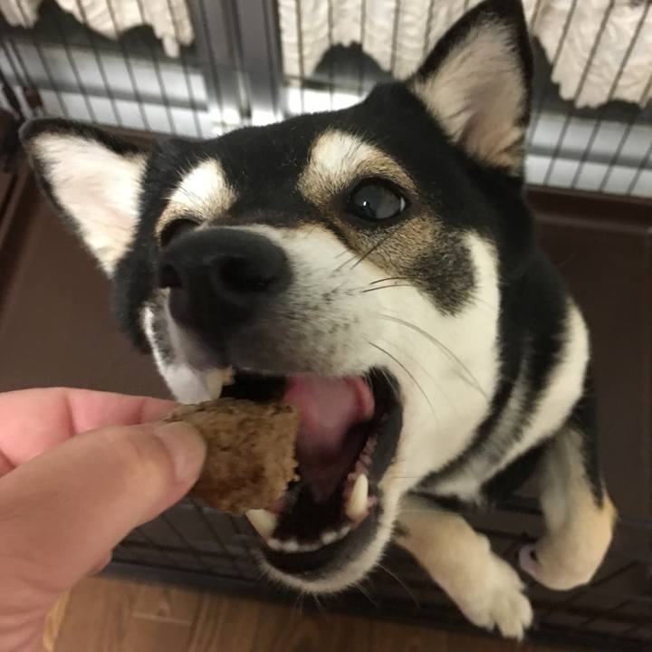 Fdc920af 8572 48bd 87f0 8c3e5cc71494