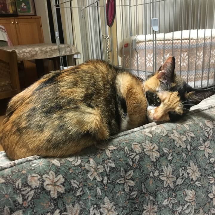 Fdc967a5 7f8a 462e b6f6 c8af243e48d6