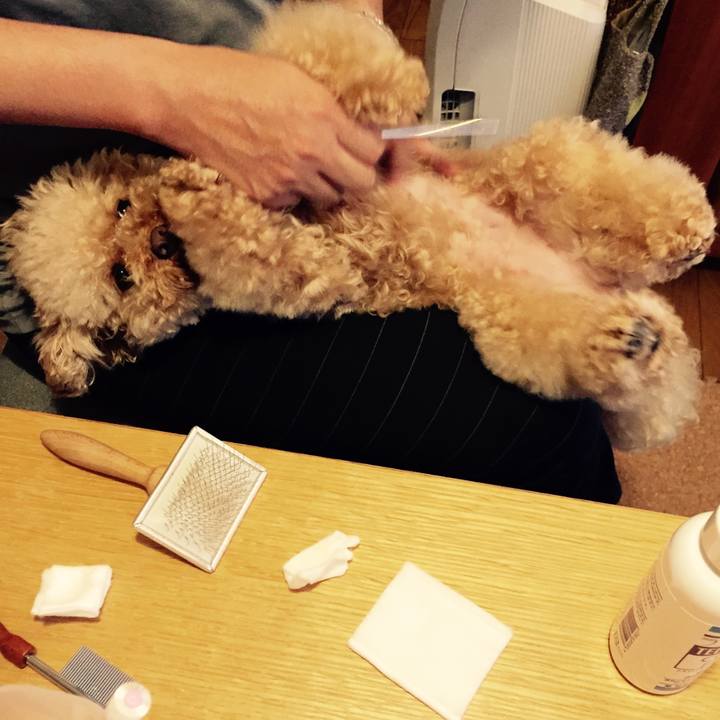 Fdc970d7 f820 4edb 9073 54f8528622bb